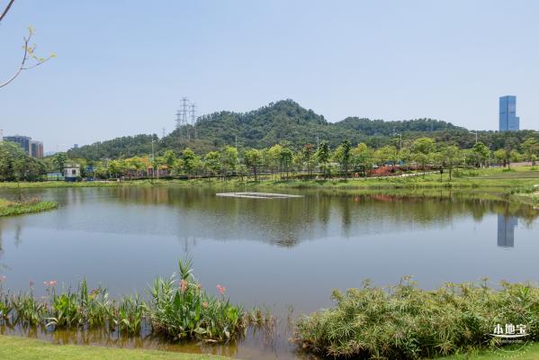 金湖上库水库库岸公园