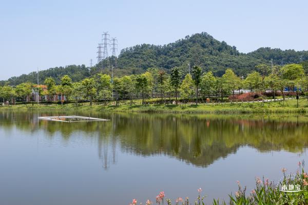 金湖上库水库库岸公园