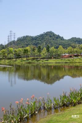 金湖上库水库库岸公园