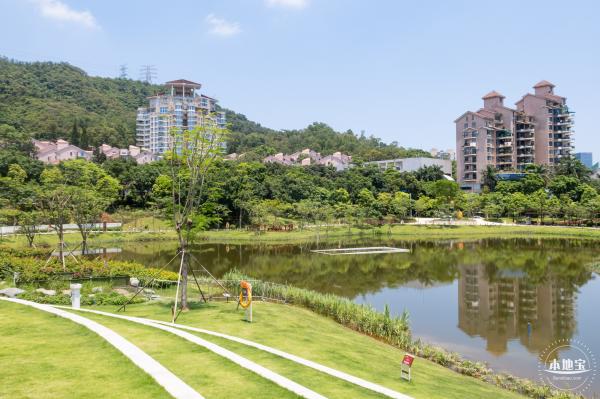 金湖上库水库库岸公园