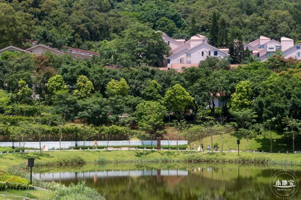 金湖上库水库库岸公园