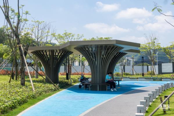 金湖上库水库库岸公园