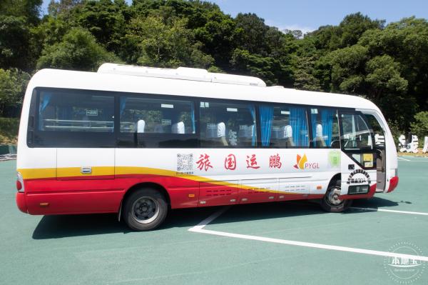 梧桐山森林会客厅