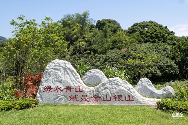 梧桐山森林会客厅