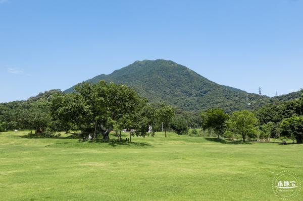 梧桐山森林会客厅