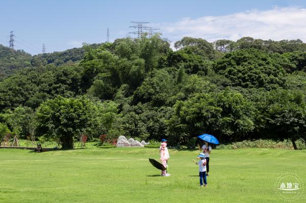 梧桐山森林会客厅