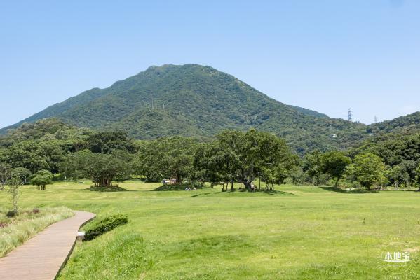 梧桐山森林会客厅