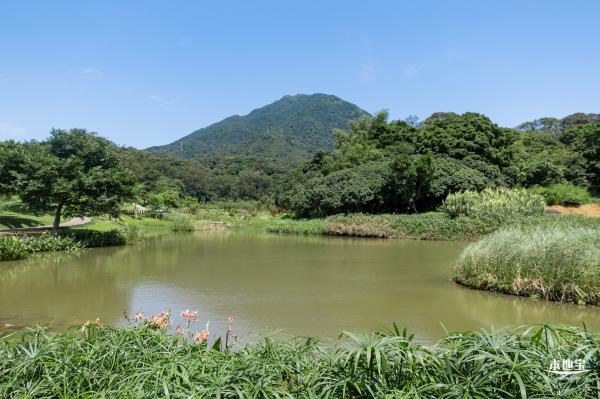 梧桐山森林会客厅