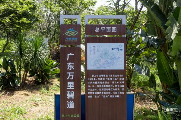 梧桐山森林会客厅