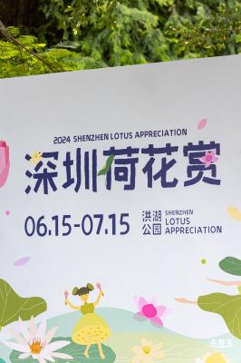 2024深圳荷花赏