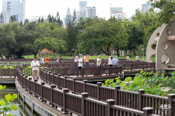 2024深圳荷花赏