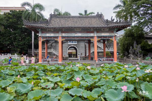 万景楼荷花池