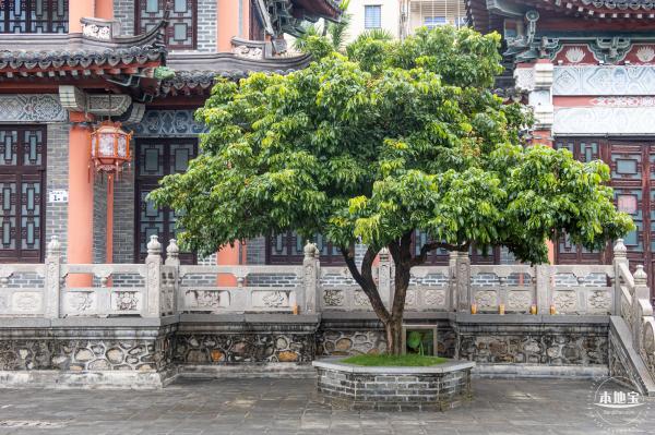 万景楼荷花池