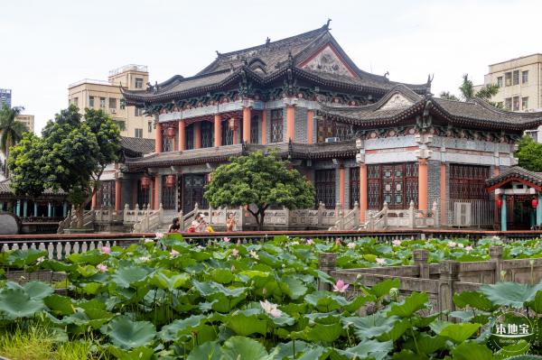 万景楼荷花池