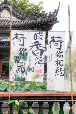 万景楼荷花池