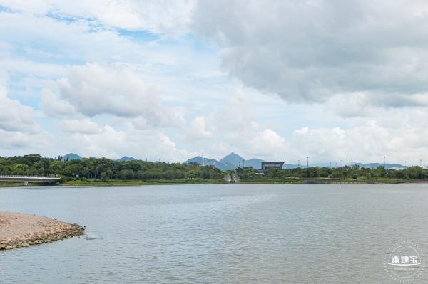 流花山粉叶金花