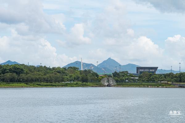 流花山粉叶金花