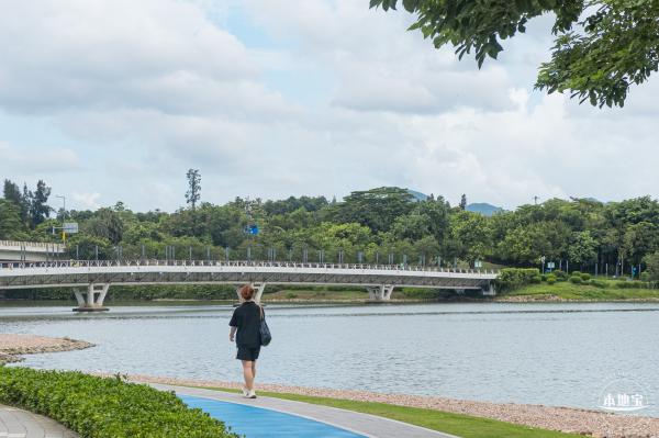 流花山粉叶金花