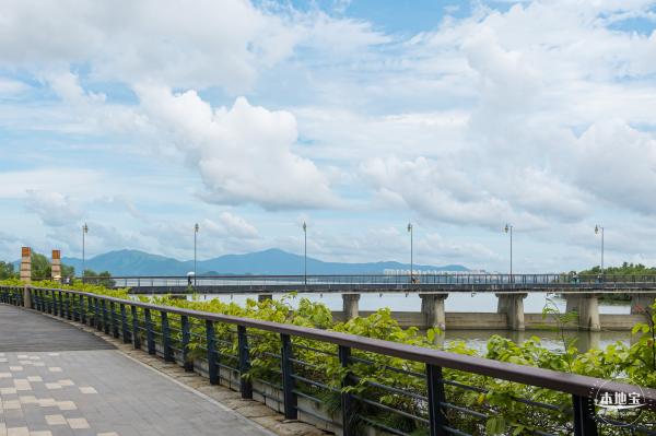 流花山粉叶金花