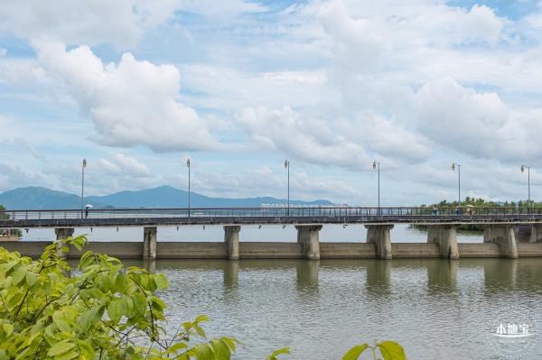 流花山粉叶金花