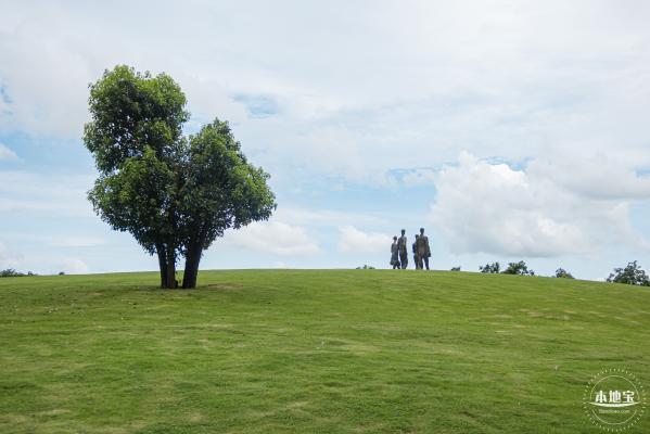 流花山粉叶金花