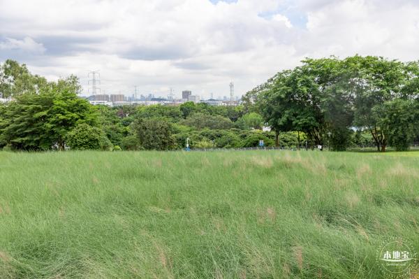 陌上花公园