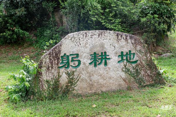 陌上花公园