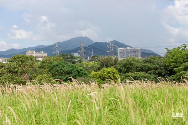 陌上花公园