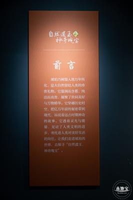 宝安区文化馆