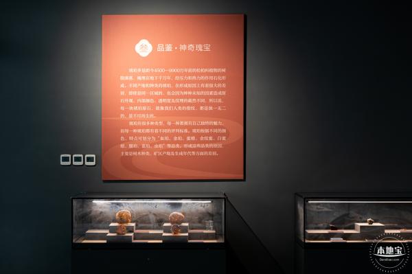 宝安区文化馆