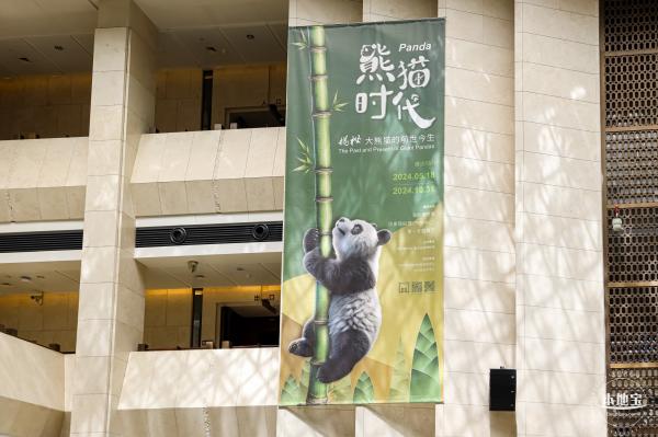 深圳新展【熊猫时代】