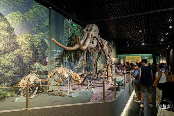 深圳新展【熊猫时代】