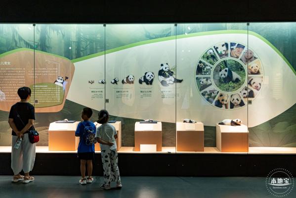 深圳新展【熊猫时代】