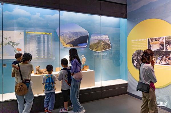 深圳新展【熊猫时代】