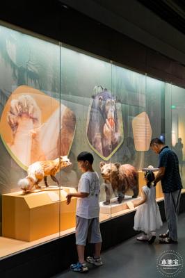 深圳新展【熊猫时代】