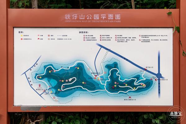 铁仔山公园花海