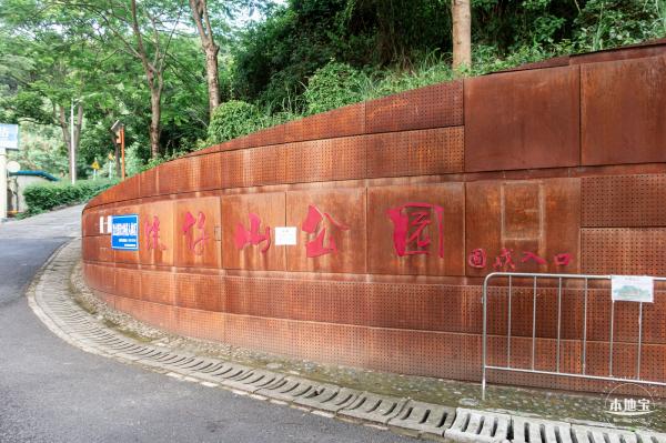 铁仔山公园花海