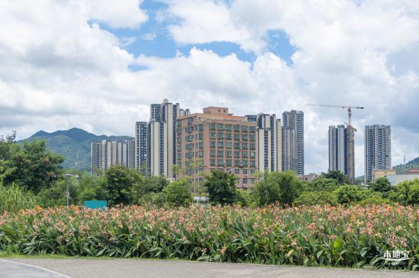坪山河公园