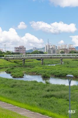 坪山河公园