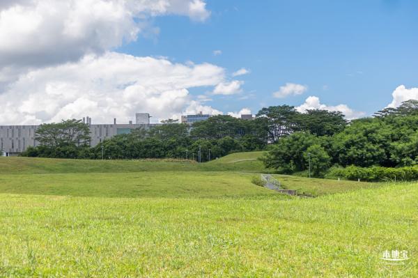 坪山河公园