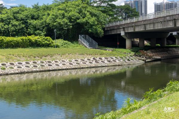 坪山河公园