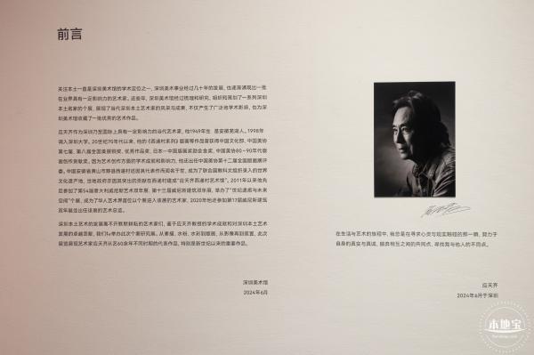 深圳新展【应天齐当代艺术展】