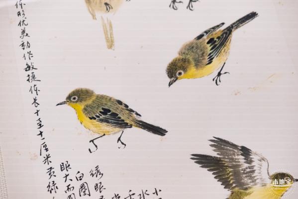 【书间梦蝶】藏书票特展