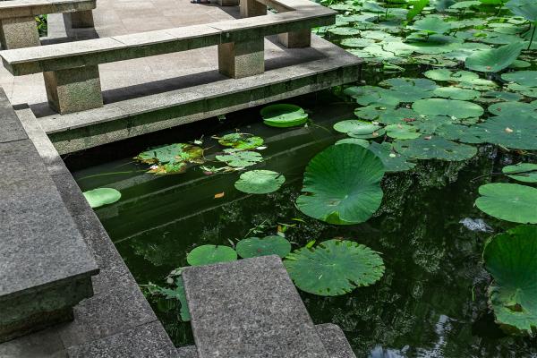 上海人民公园