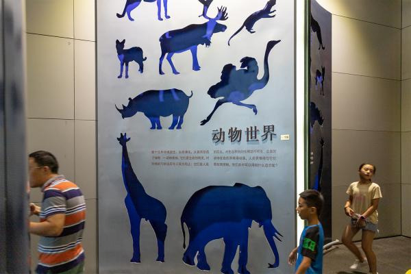 上海科技馆