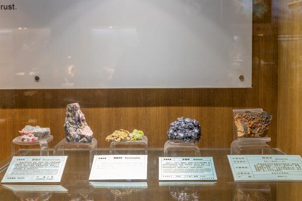 东方地质科普馆