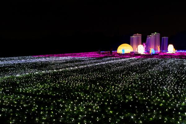 广富林灯会