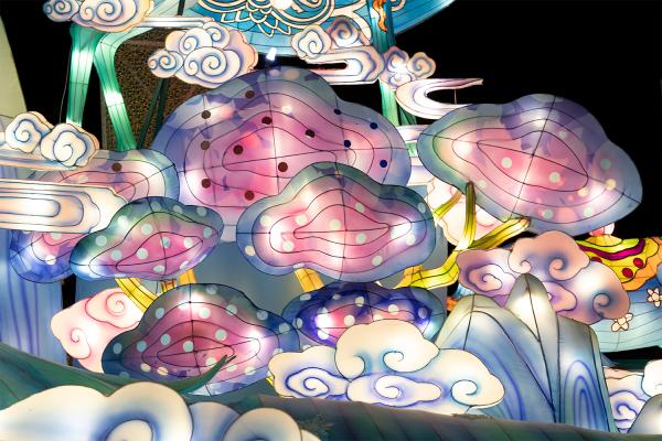 广富林灯会