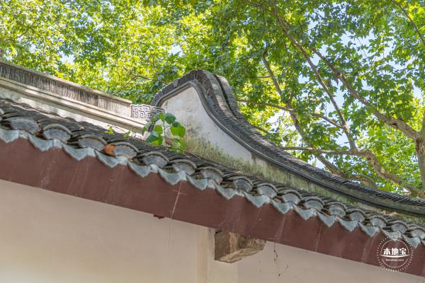 鲁迅公园