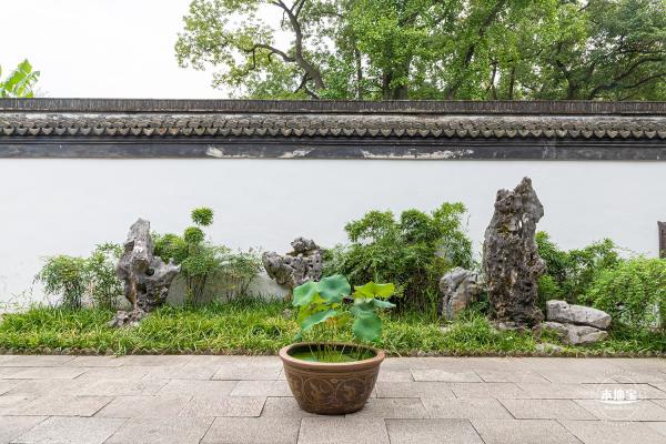 醉白池